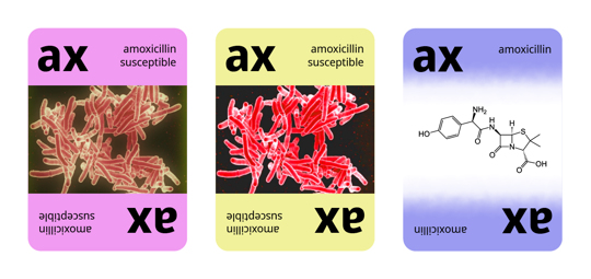 Two cards representing the same strain of bacteria. One is a good colony, the other is a bad colony. Also, a card representing the antibacterial that eliminates the two cards.