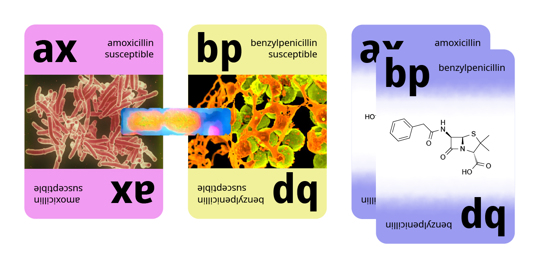 Cards from an educational tabletop game.