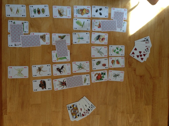 Playing cards on a table arranged in a 6 by 6 grid. Some cards are face down and bridging other cards. Hands of cards are to the side.