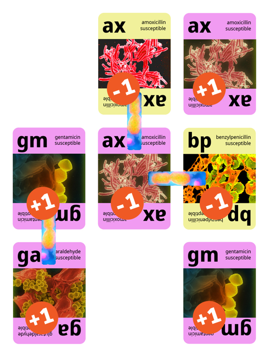 A grid of bacteria colonies labeled with their score values.