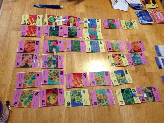Overhead shot of playing area. There are various bacteria cards placed in a grid.