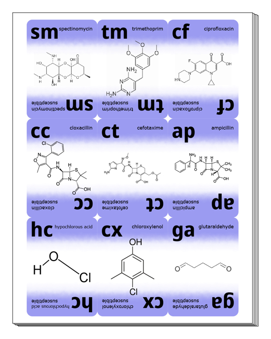 Sheets of paper ready to be cut into cards